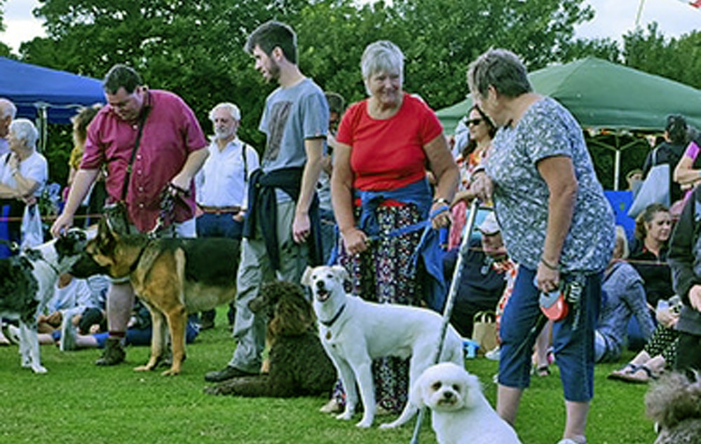 summer-fete-fun-dog-show-saturday-12th-august-winchelsea